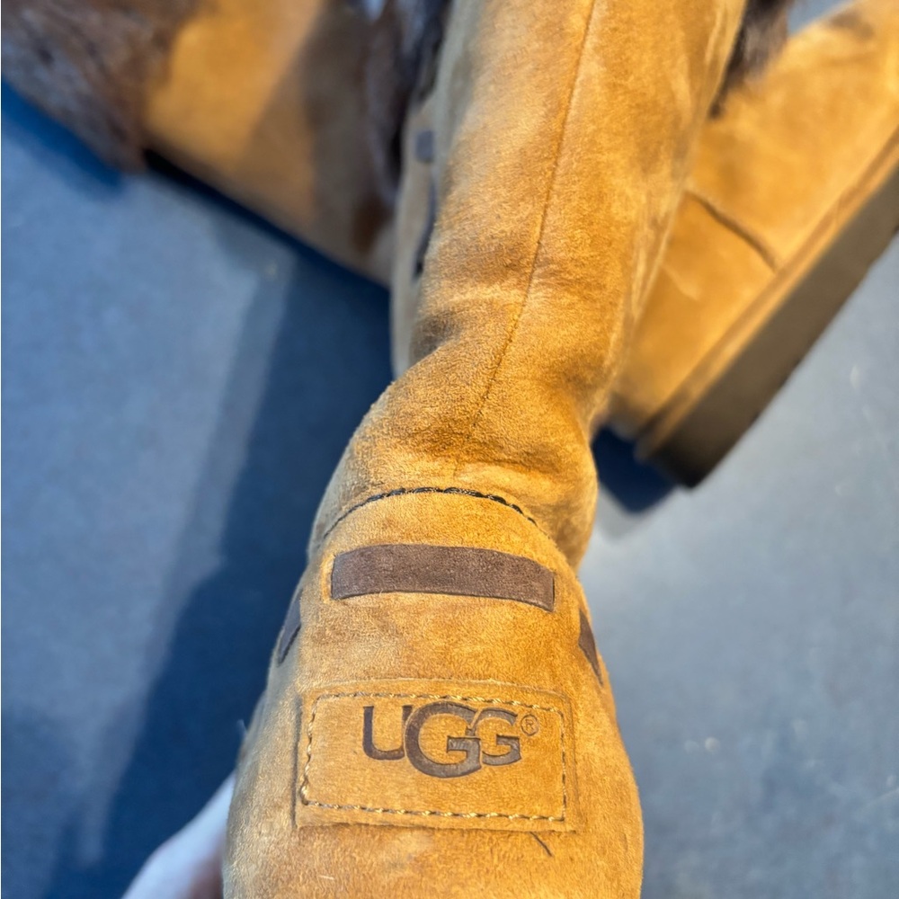 UGG Chestnut Suede Boots